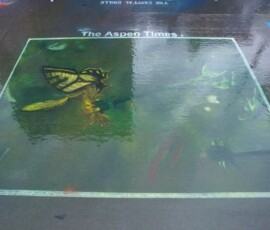 Denver Chalk Art Festival, Day 2